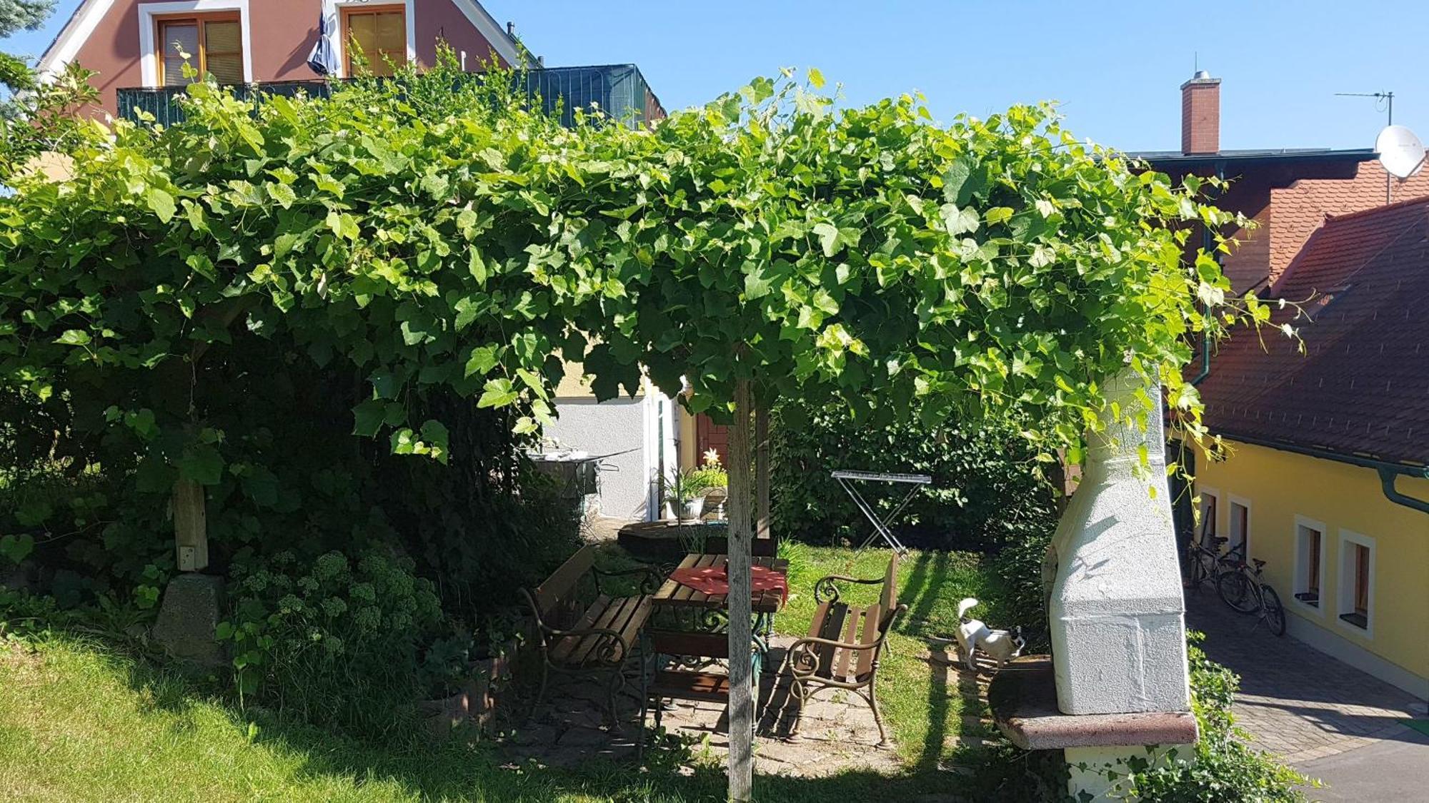Ferienappartments Landhaus Fuehldichwohl Fehring Rom bilde