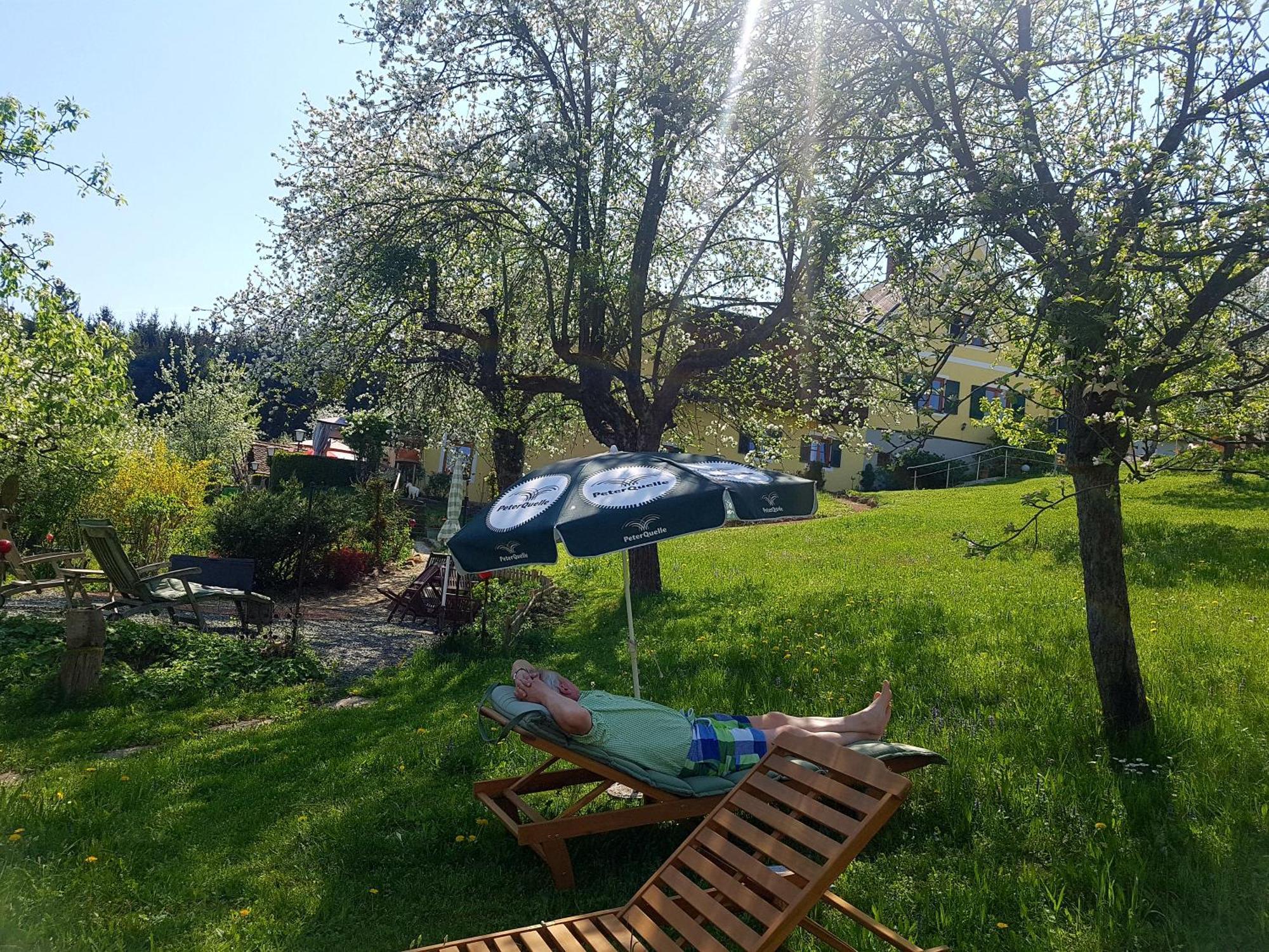 Ferienappartments Landhaus Fuehldichwohl Fehring Rom bilde